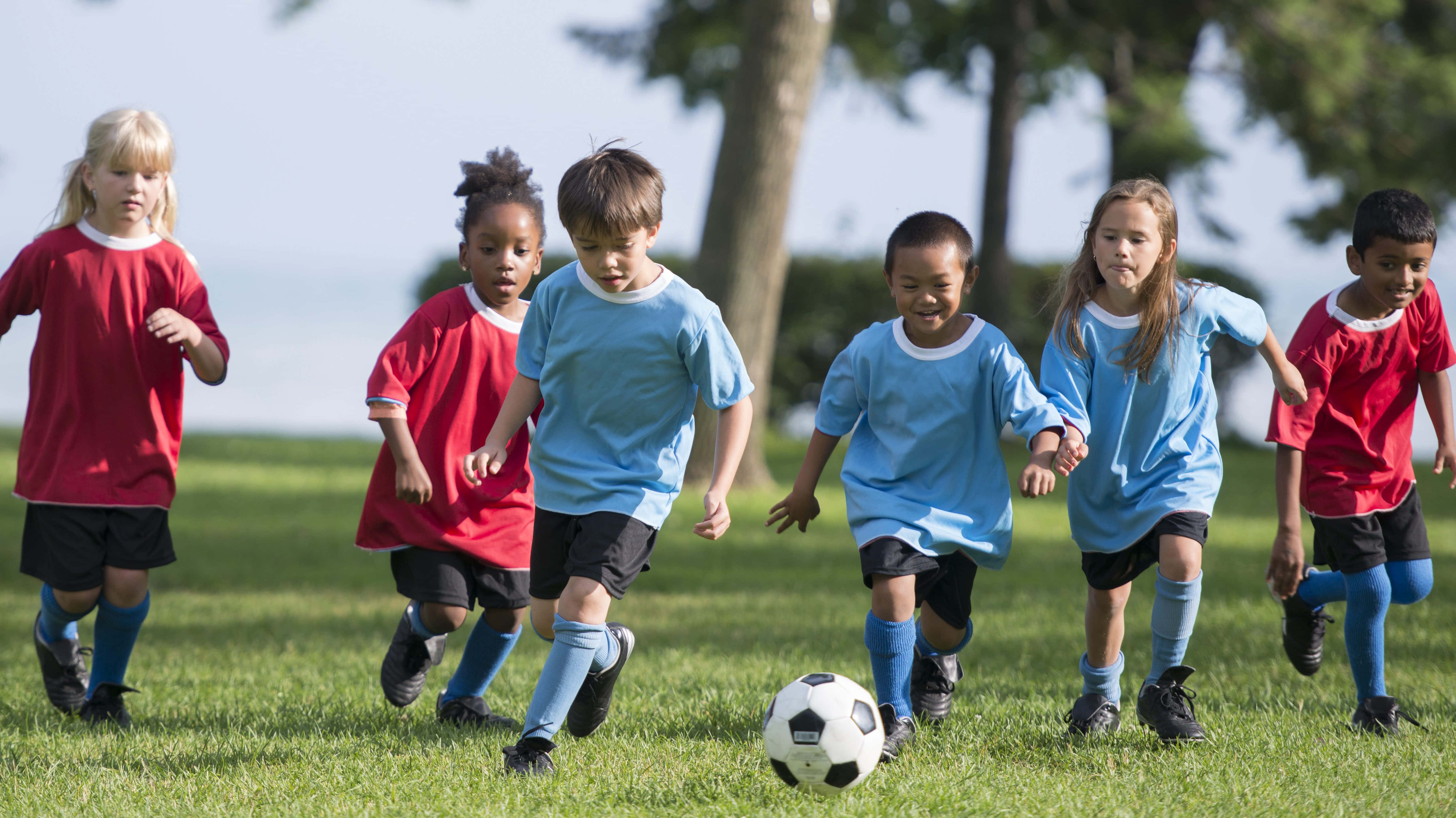red and blue uniforms, sunlit grassy field, trees in the background, 5K Desktop Wallpaper