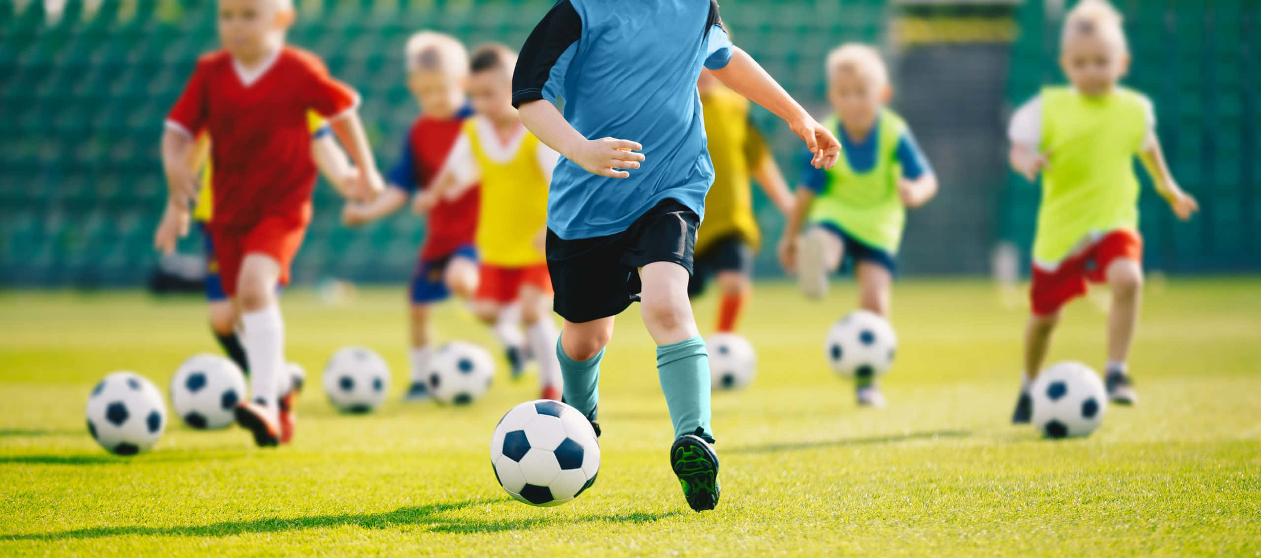 young soccer players, colorful jerseys, sunlit grass field, 2K Desktop Wallpaper