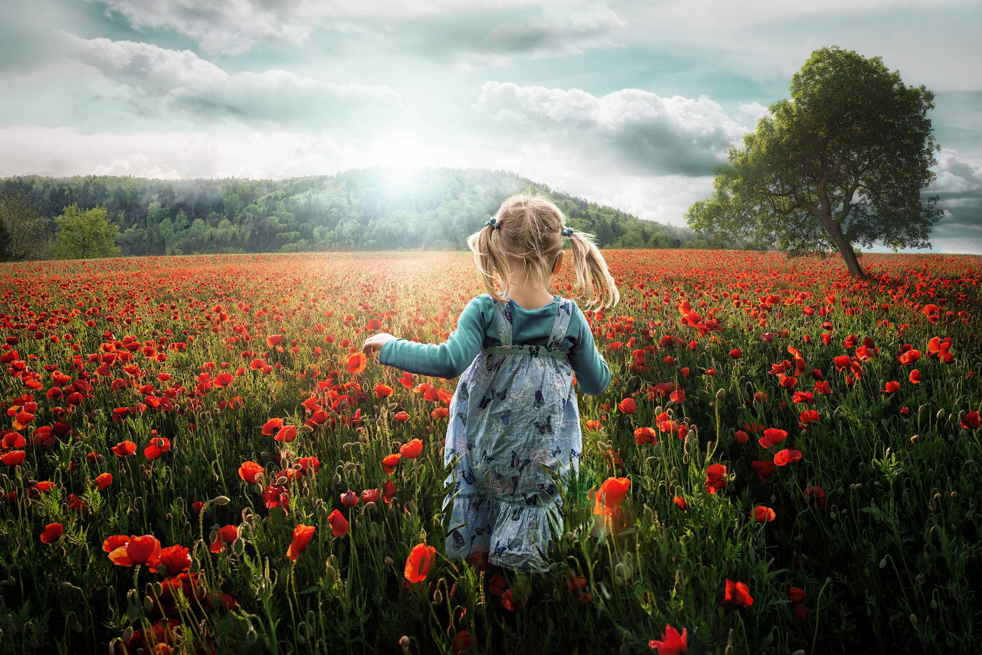 young girl, pigtails, vast field of red poppies, Full HD Desktop Wallpaper