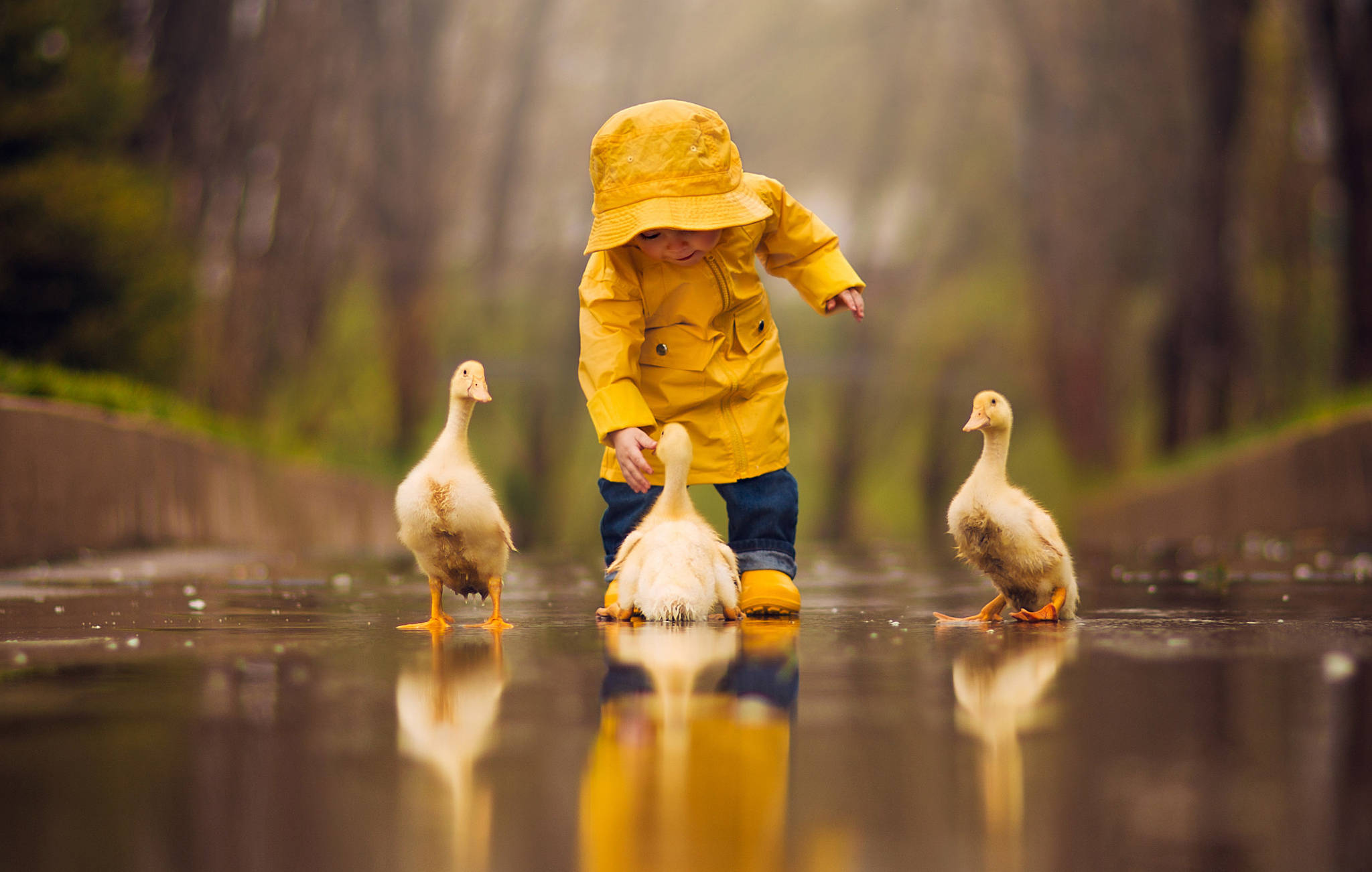duckling, bright yellow raincoat, wet pavement, Full HD Desktop Wallpaper