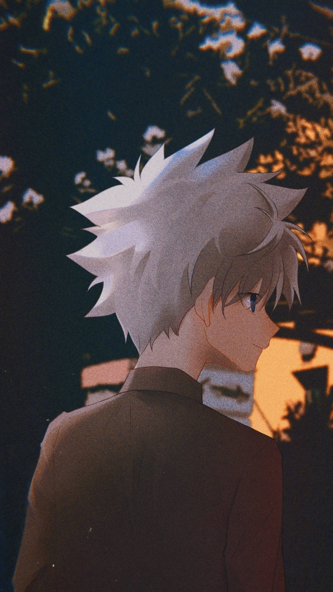 Killua, spiky white hair, glowing cherry blossoms, Full HD Phone Wallpaper