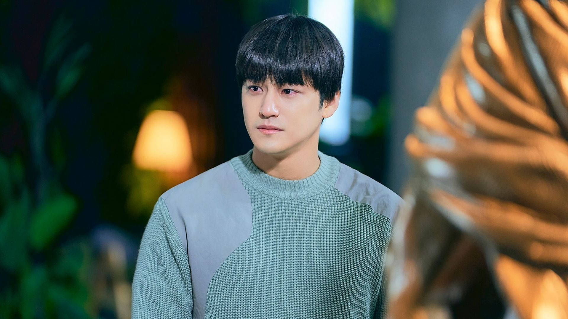 Kim Bum, green and gray sweater, warmly lit indoor setting, Full HD Desktop Wallpaper