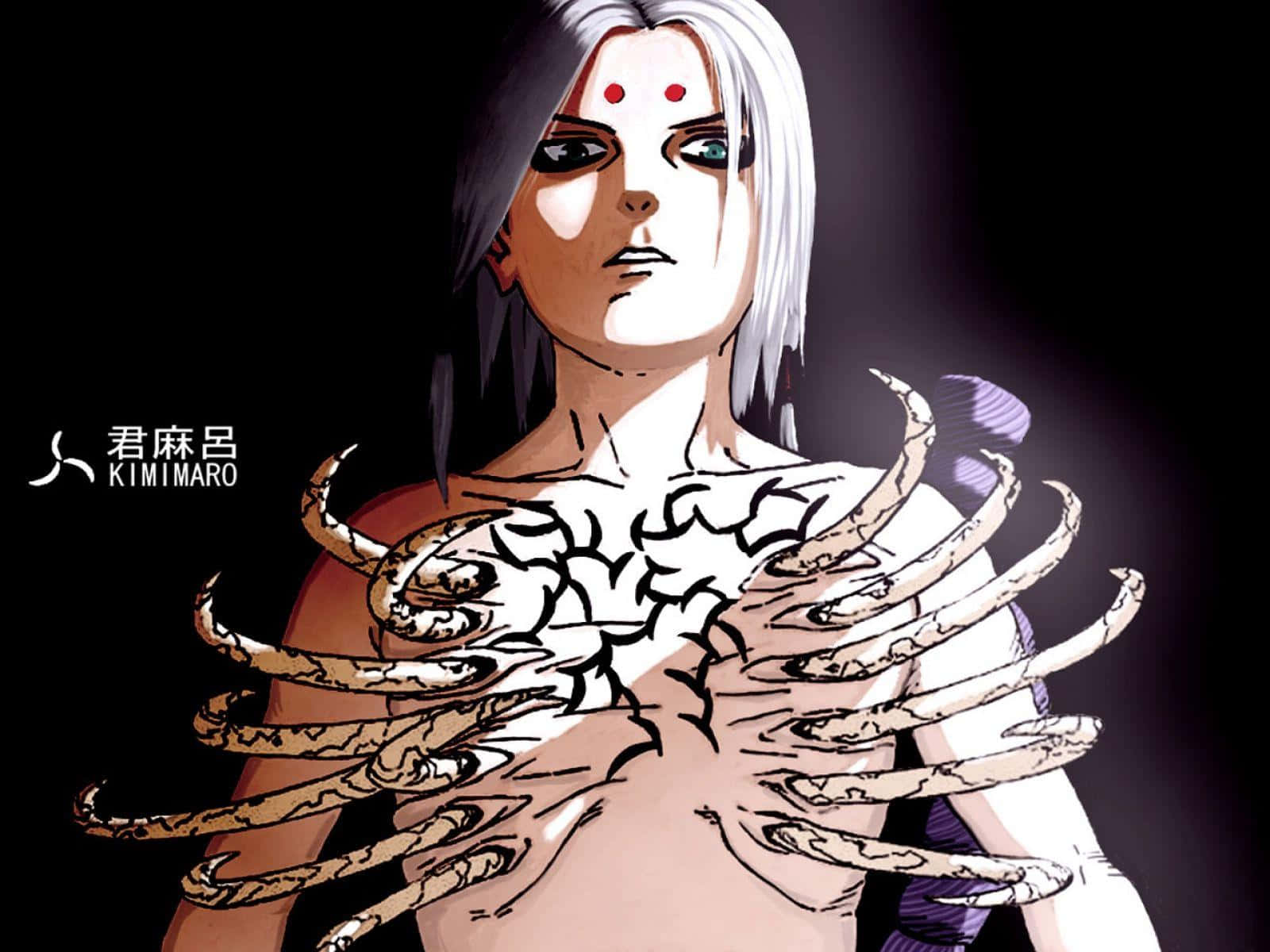 Kimimaro, white hair, red forehead marks, HD Desktop Wallpaper
