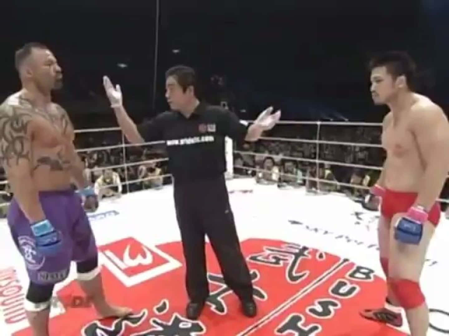 Kimo Leopoldo, MMA ring, referee, HD Desktop Wallpaper