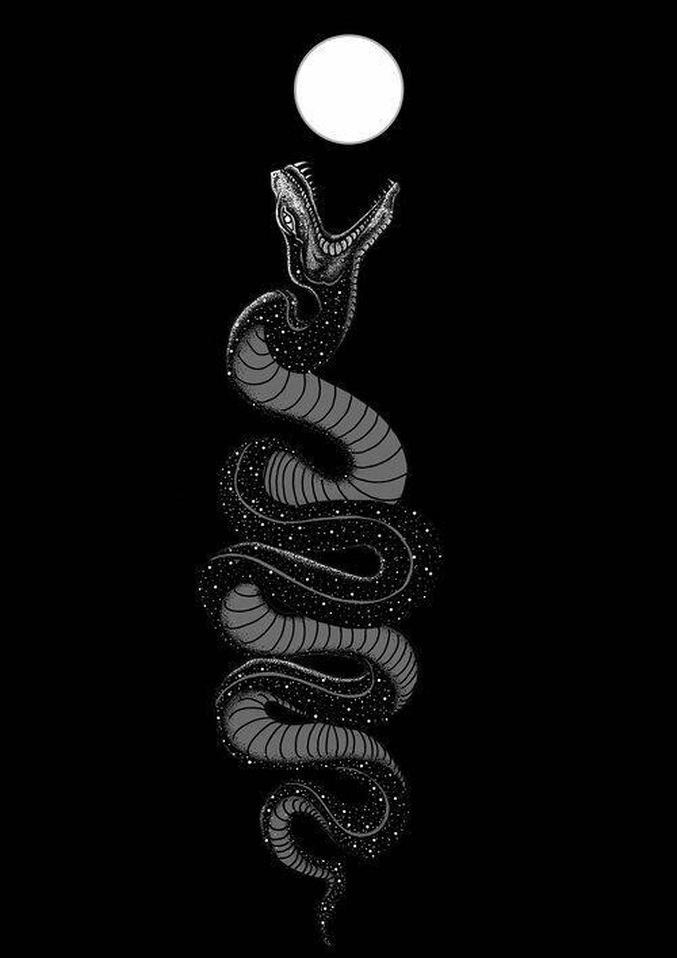 King Cobra, moon, stars, Full HD Phone Wallpaper