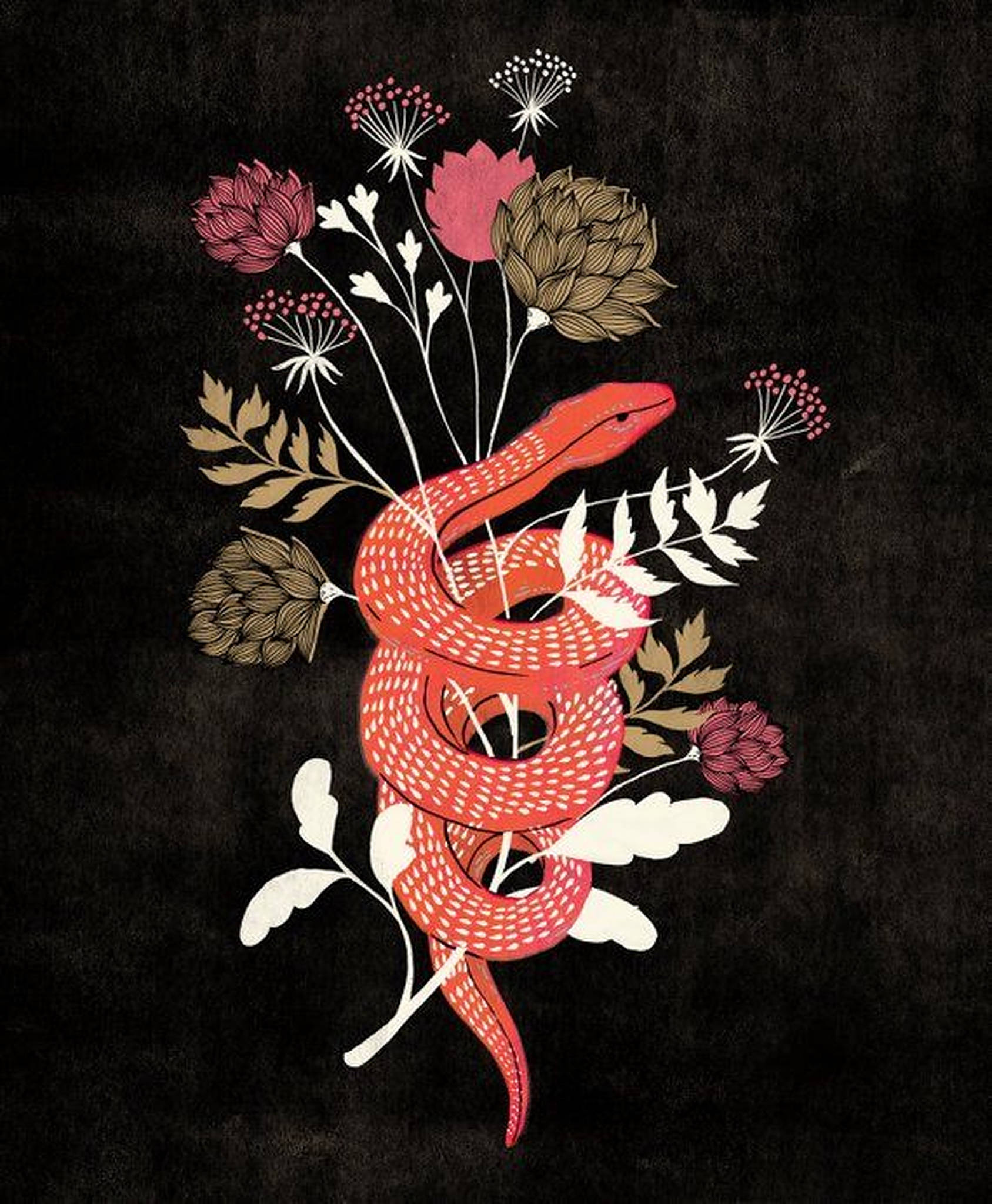 King Cobra, red aesthetic, vibrant red snake, Full HD Phone Wallpaper