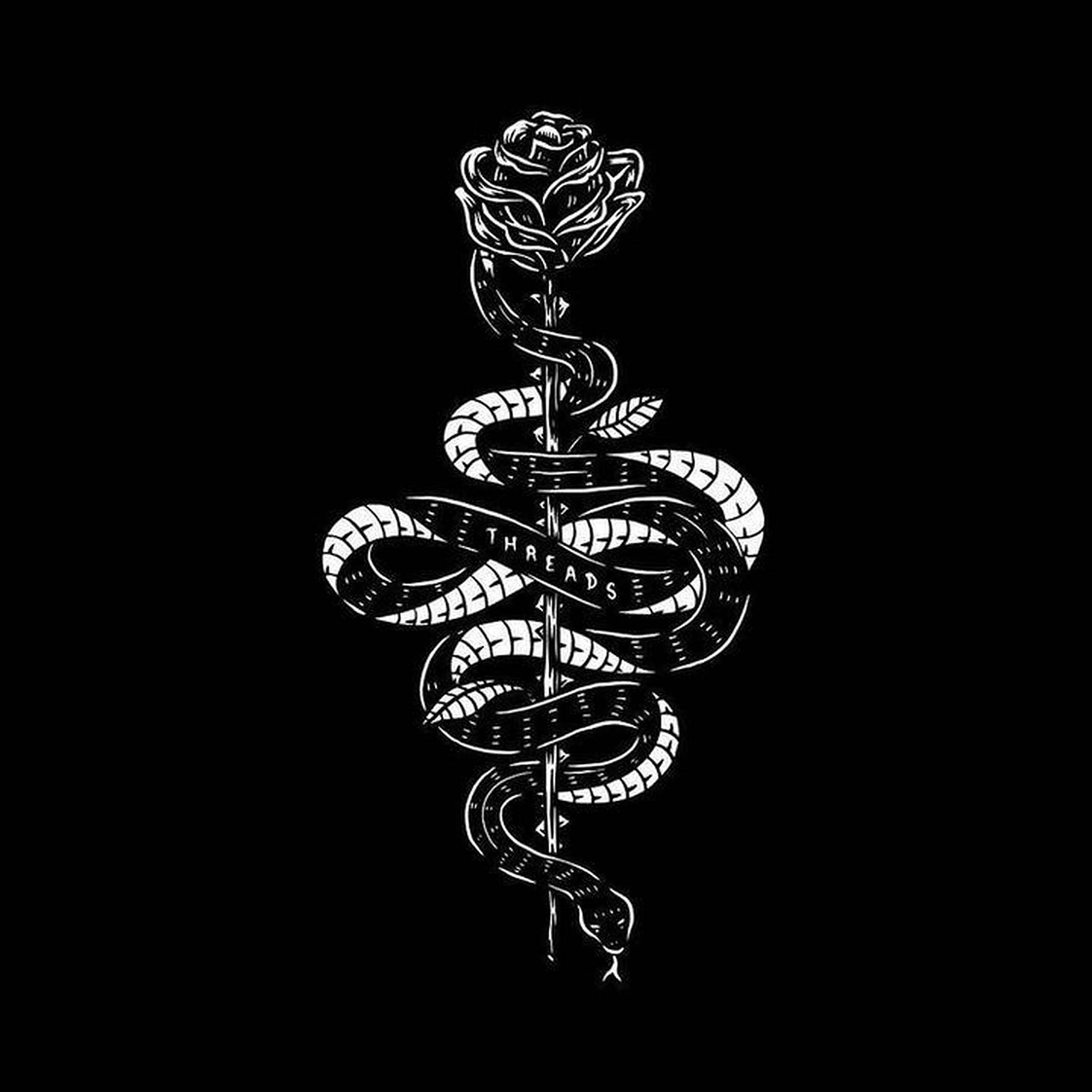 King Cobra, rose, coiled snake, Full HD Desktop Wallpaper