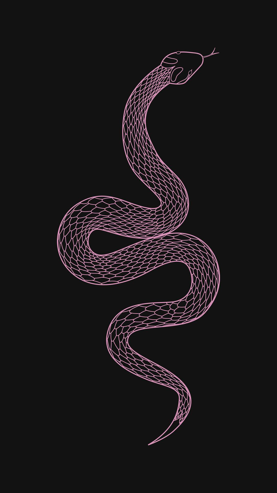 Pink King Cobra, line-art, mesh pattern, Full HD Phone Wallpaper