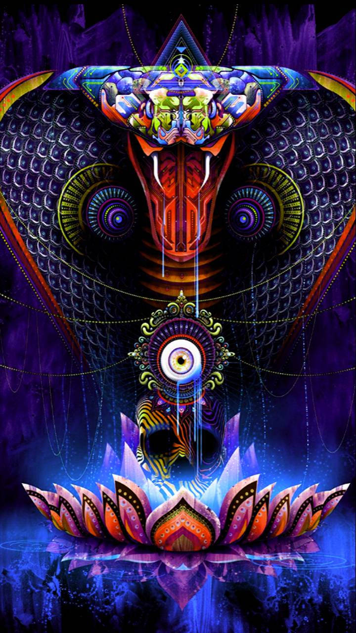King Cobra, psychedelic digital artwork, multi-colored cobra, HD Phone Wallpaper