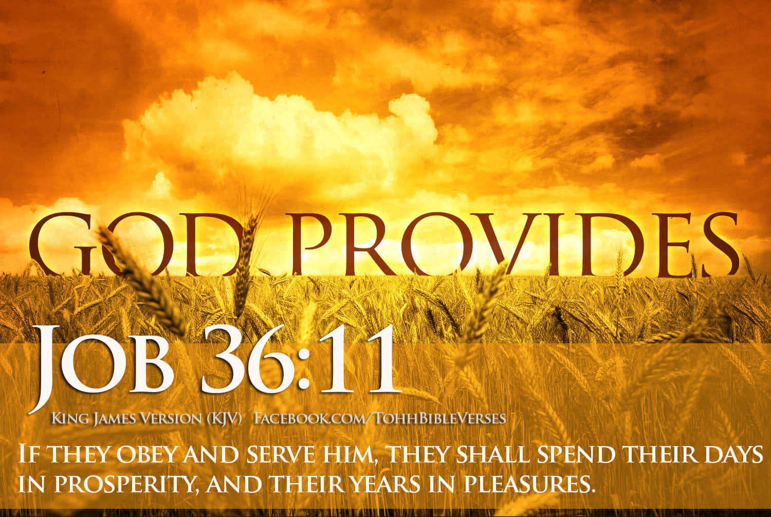 King James Bible, golden wheat field, fiery orange sky, HD Desktop Wallpaper