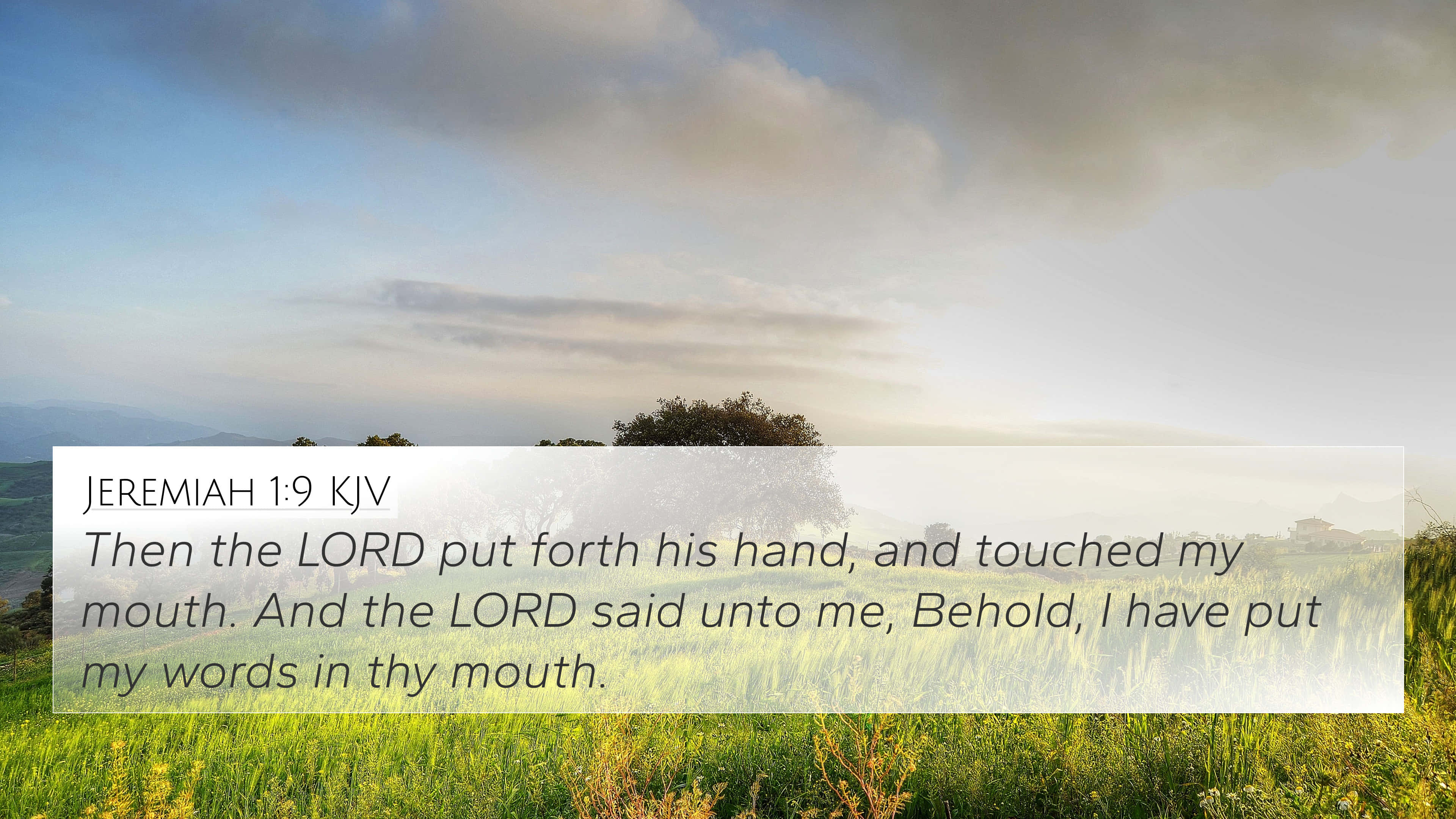 King James Bible, serene grassy field, soft cloudy sky, 4K Desktop Wallpaper