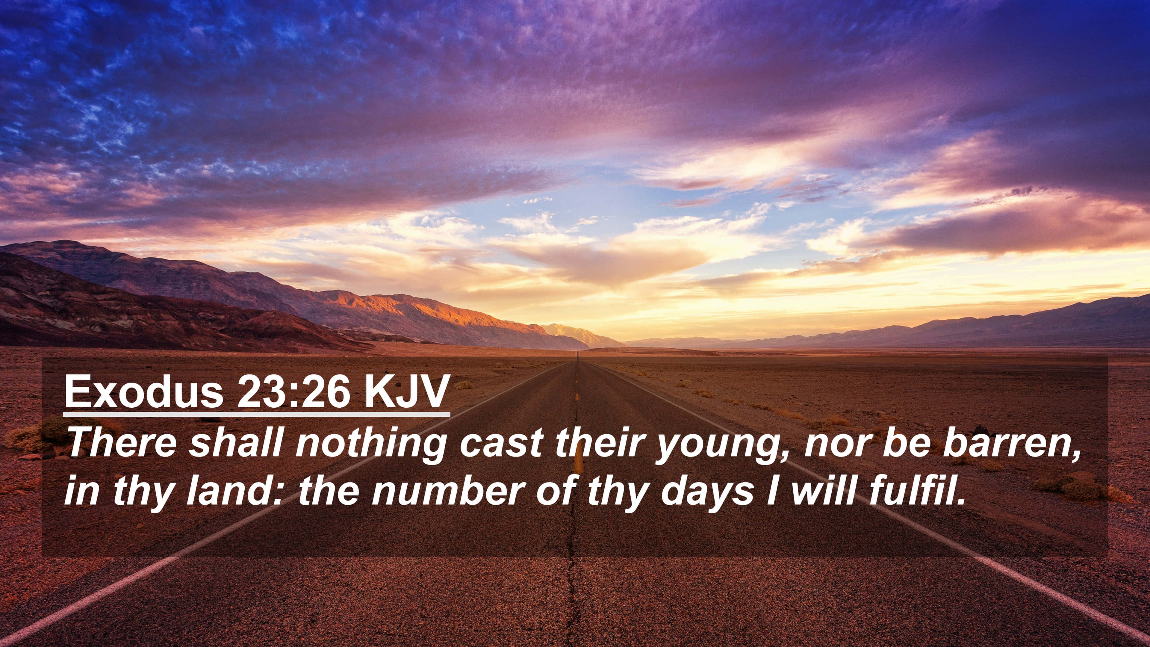 King James Bible, Exodus 22:25, purple, 4K Desktop Wallpaper