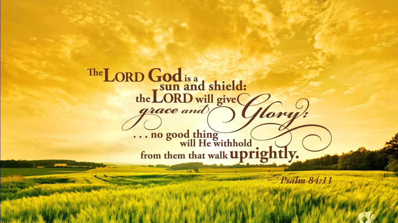King James Bible, Psalm 84:11, golden wheat field, HD Desktop Wallpaper