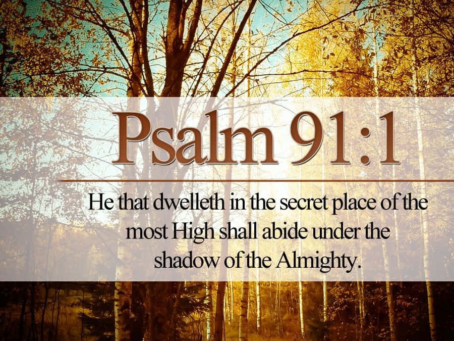 King James Bible, Psalm 91:1, parable of the vineyard, SD Desktop Wallpaper