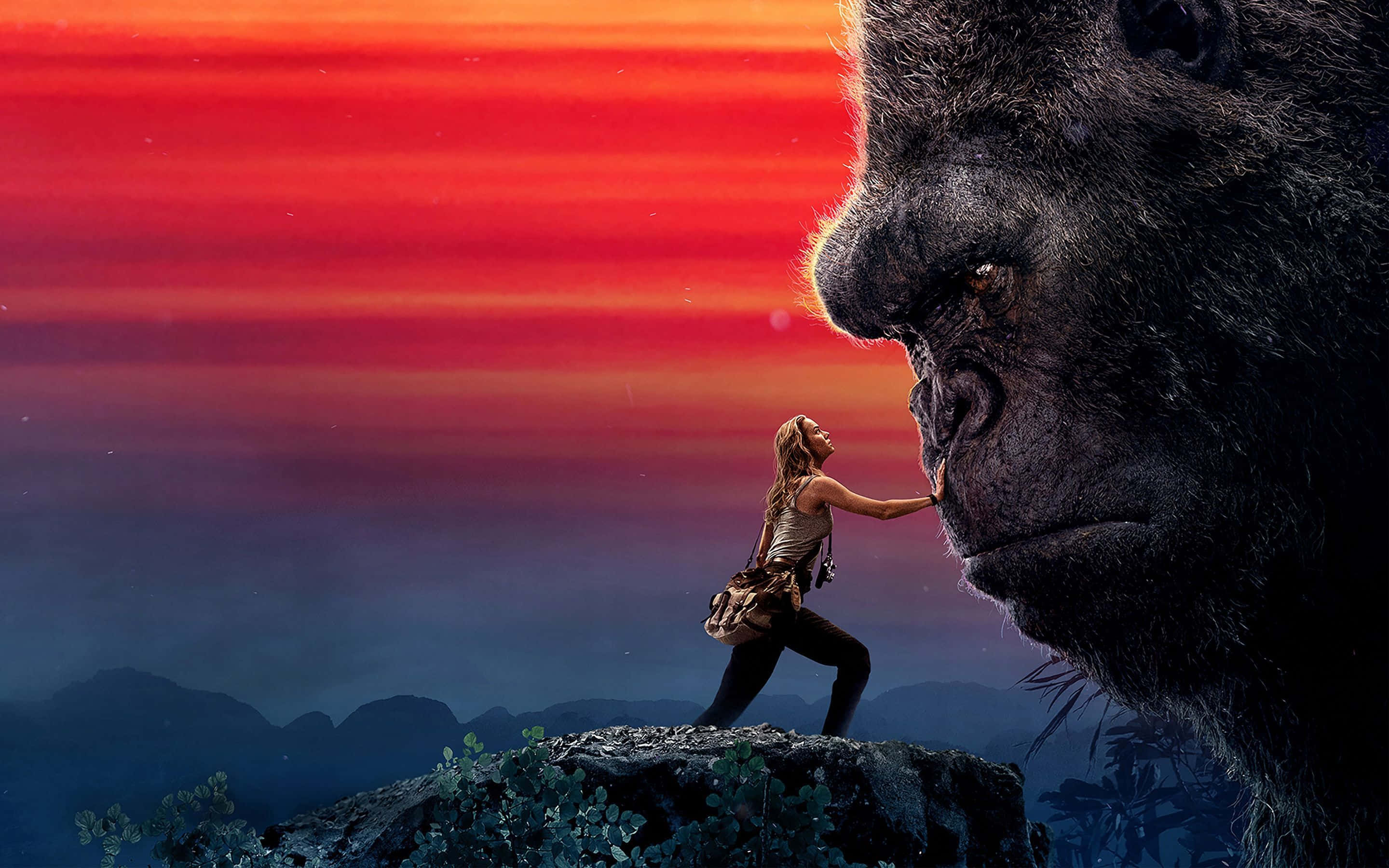 King Kong, gorilla, woman, 2K Desktop Wallpaper