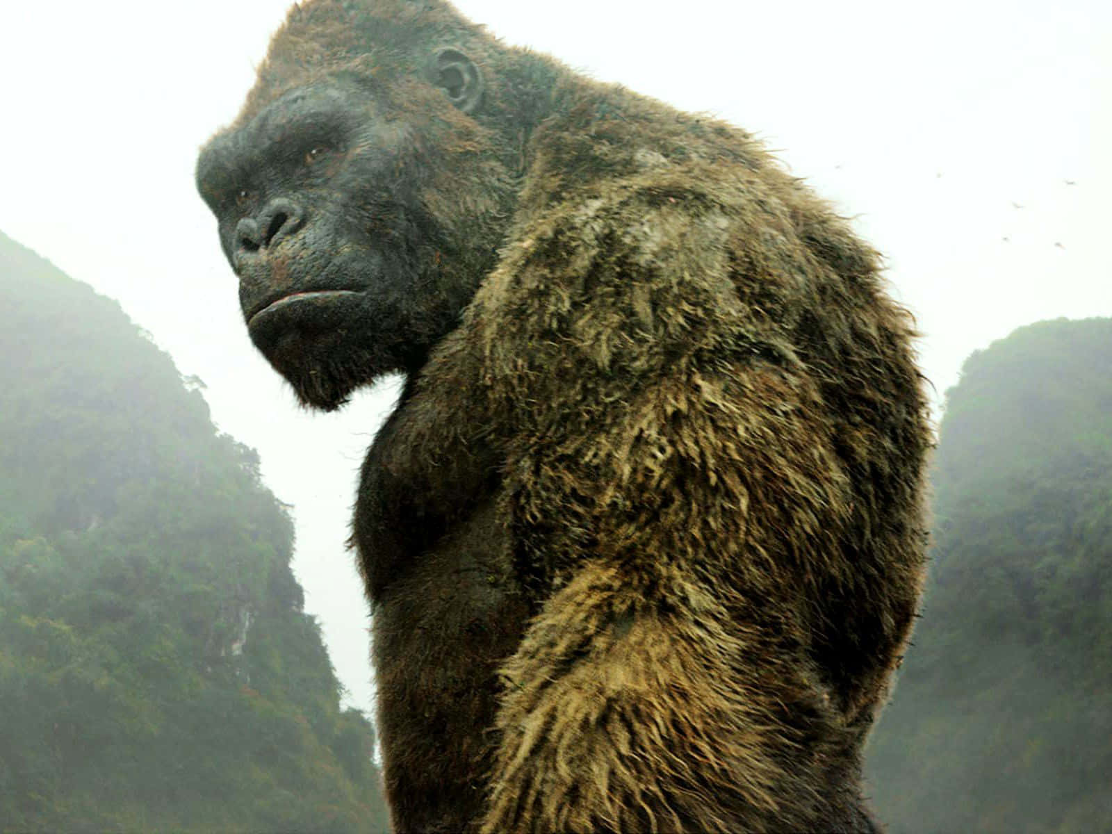 King Kong, 4K, misty mountains, HD Desktop Wallpaper