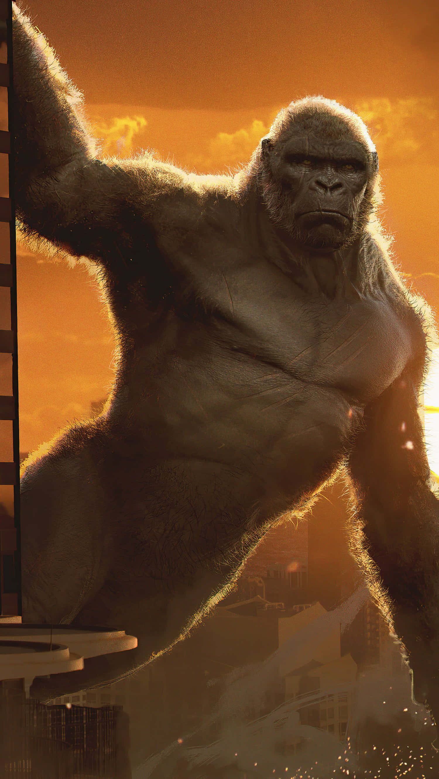 King Kong, cityscape, sunset, 2K Phone Wallpaper