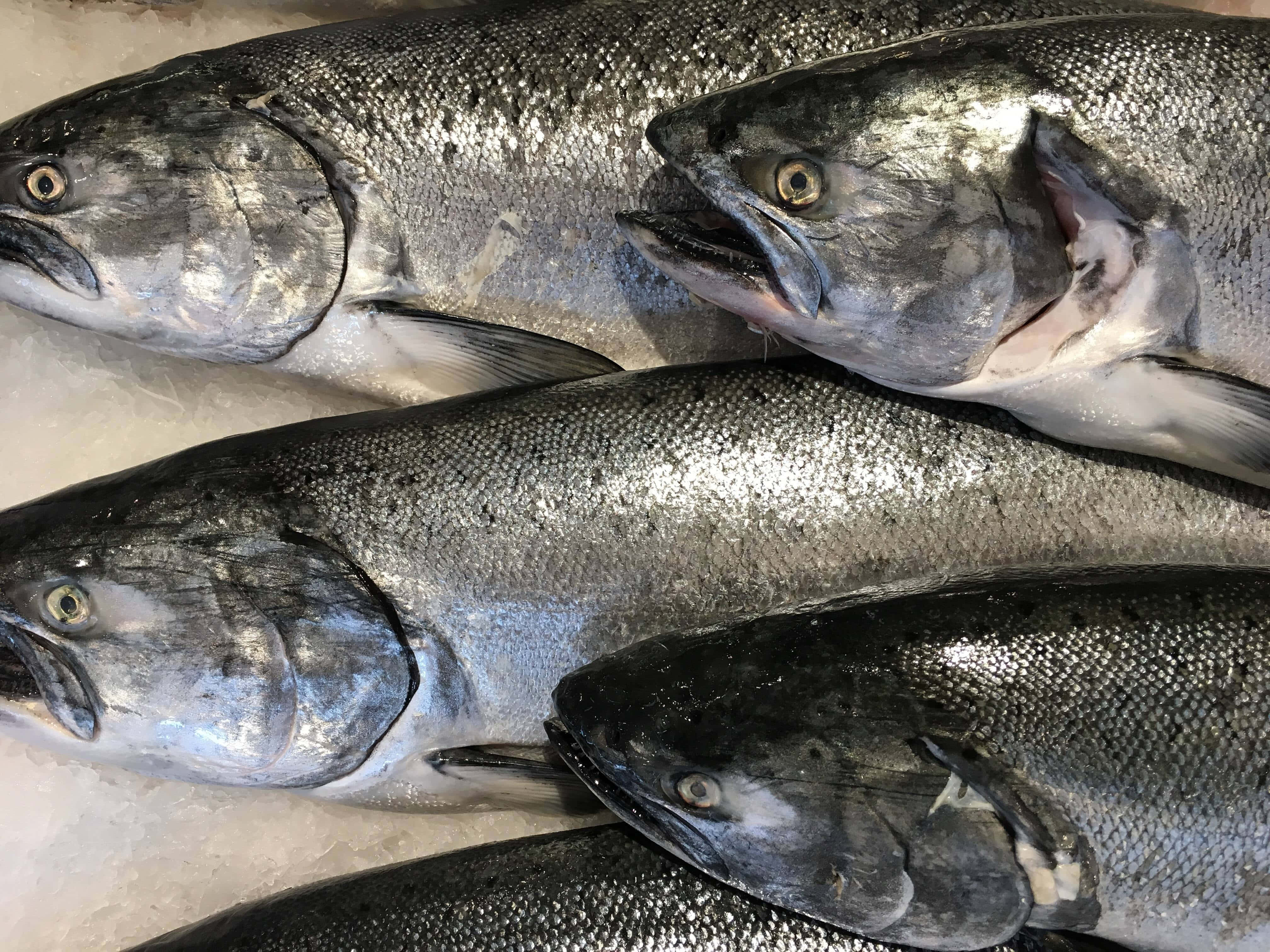 King Salmon, crushed ice, seafood market, 4K Desktop Wallpaper