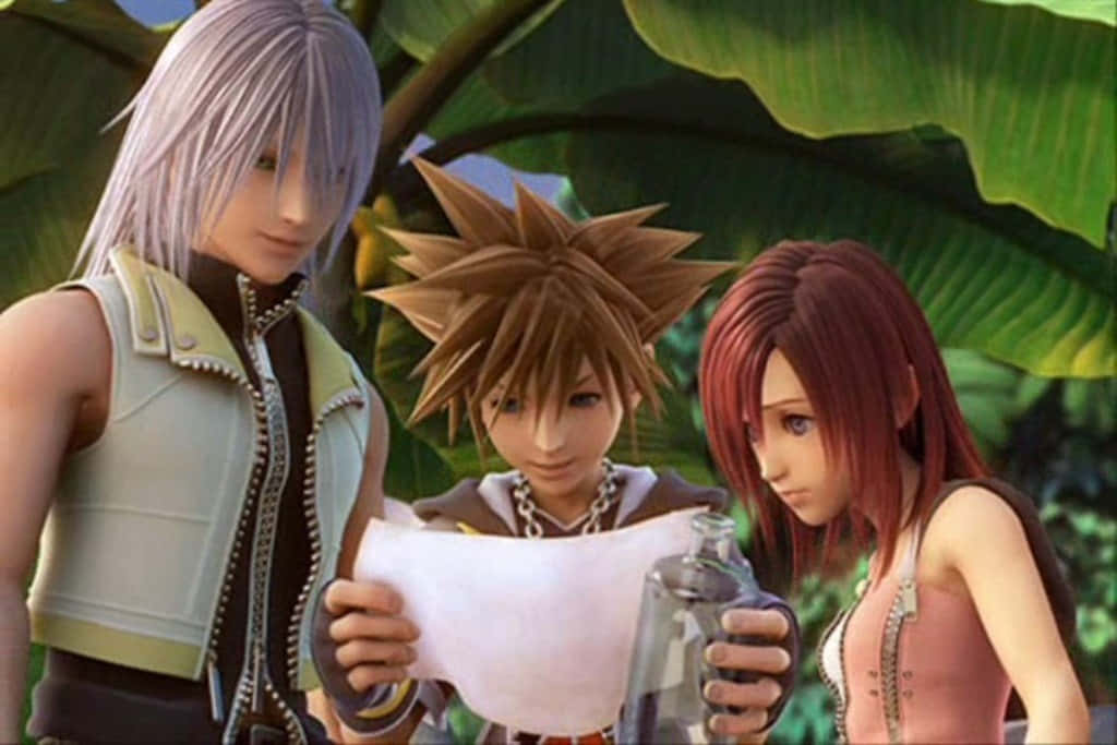 Kingdom Hearts, Kingdom Hearts Characters, anime characters, SD Desktop Wallpaper