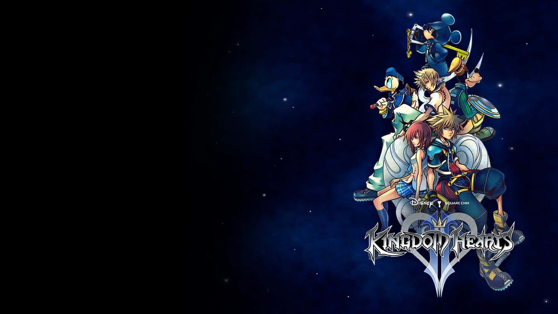 Kingdom Hearts Characters, modest costumes, starry night sky, Full HD Desktop Wallpaper