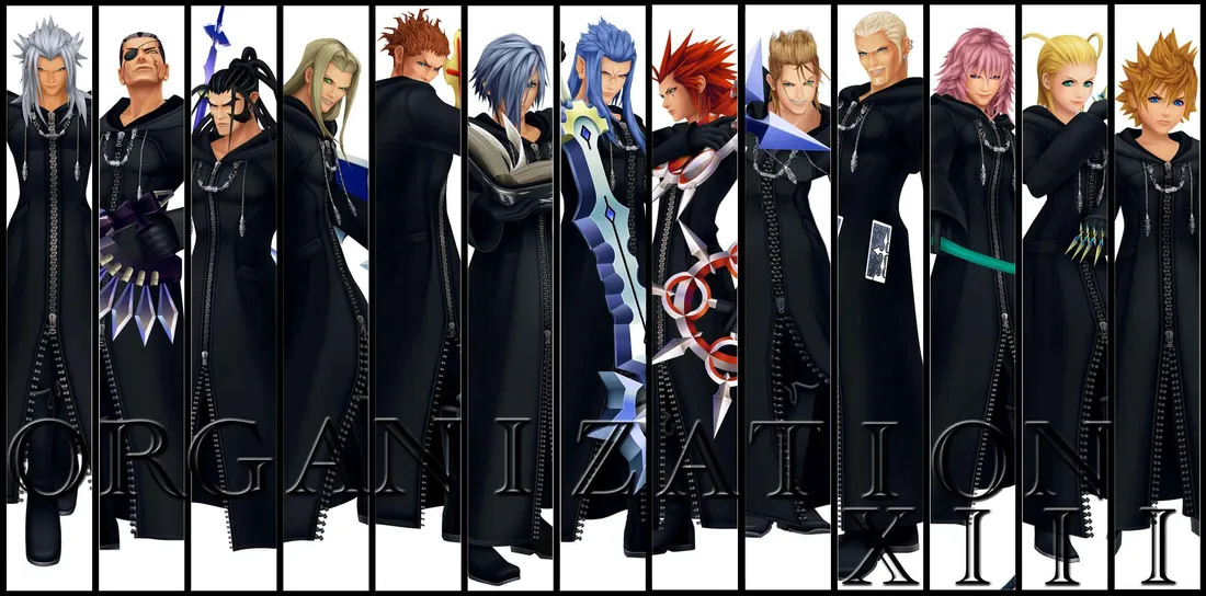 Kingdom Hearts Organization 13