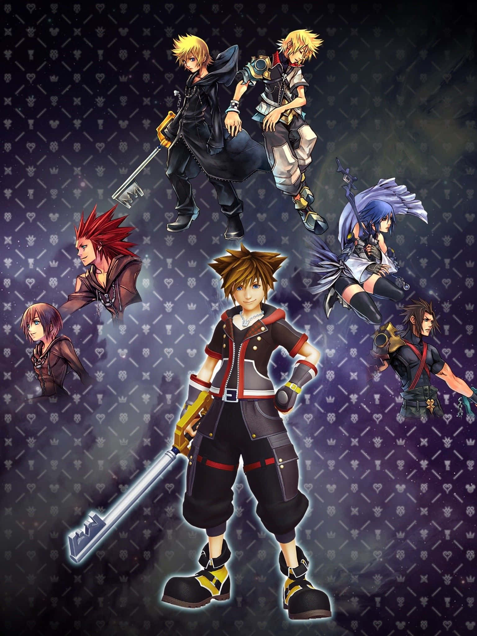Kingdom Hearts Organization 13, keyblades, anime characters, Full HD Phone Wallpaper