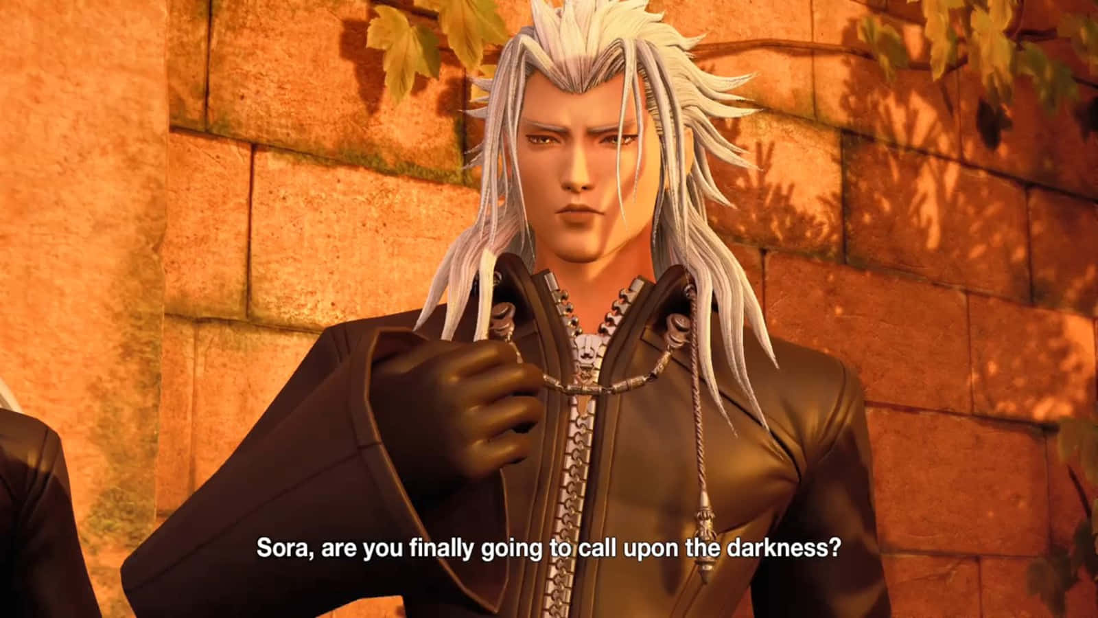 Kingdom Hearts Xemnas, silver-haired, dark coat, HD Desktop Wallpaper