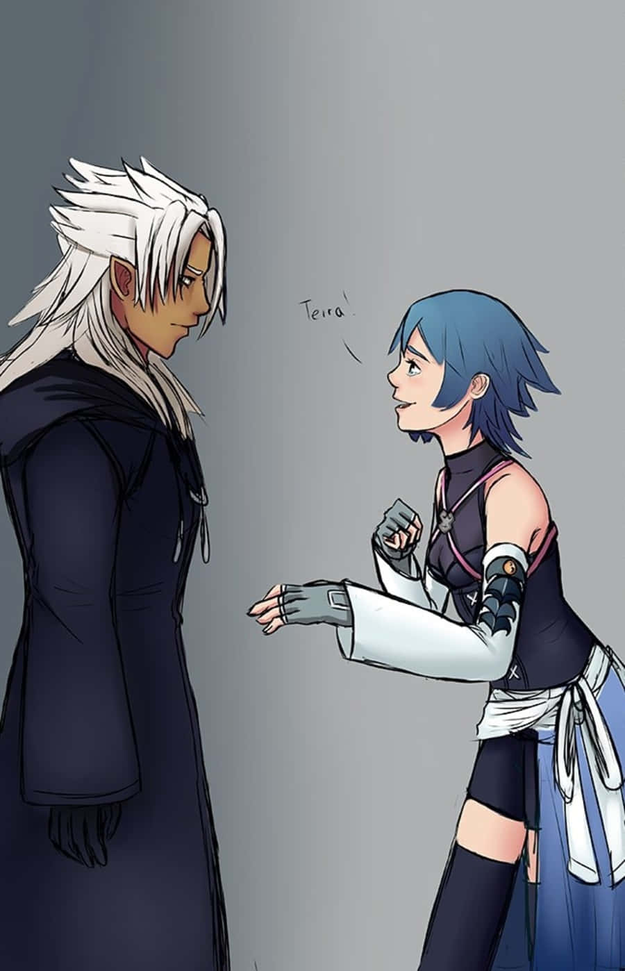 Kingdom Hearts Xemnas, white hair, dark coat, HD Phone Wallpaper