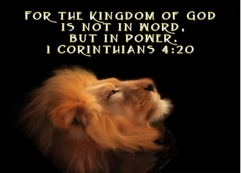 Kingdom Of God, lion with golden mane, black background, SD Desktop Wallpaper
