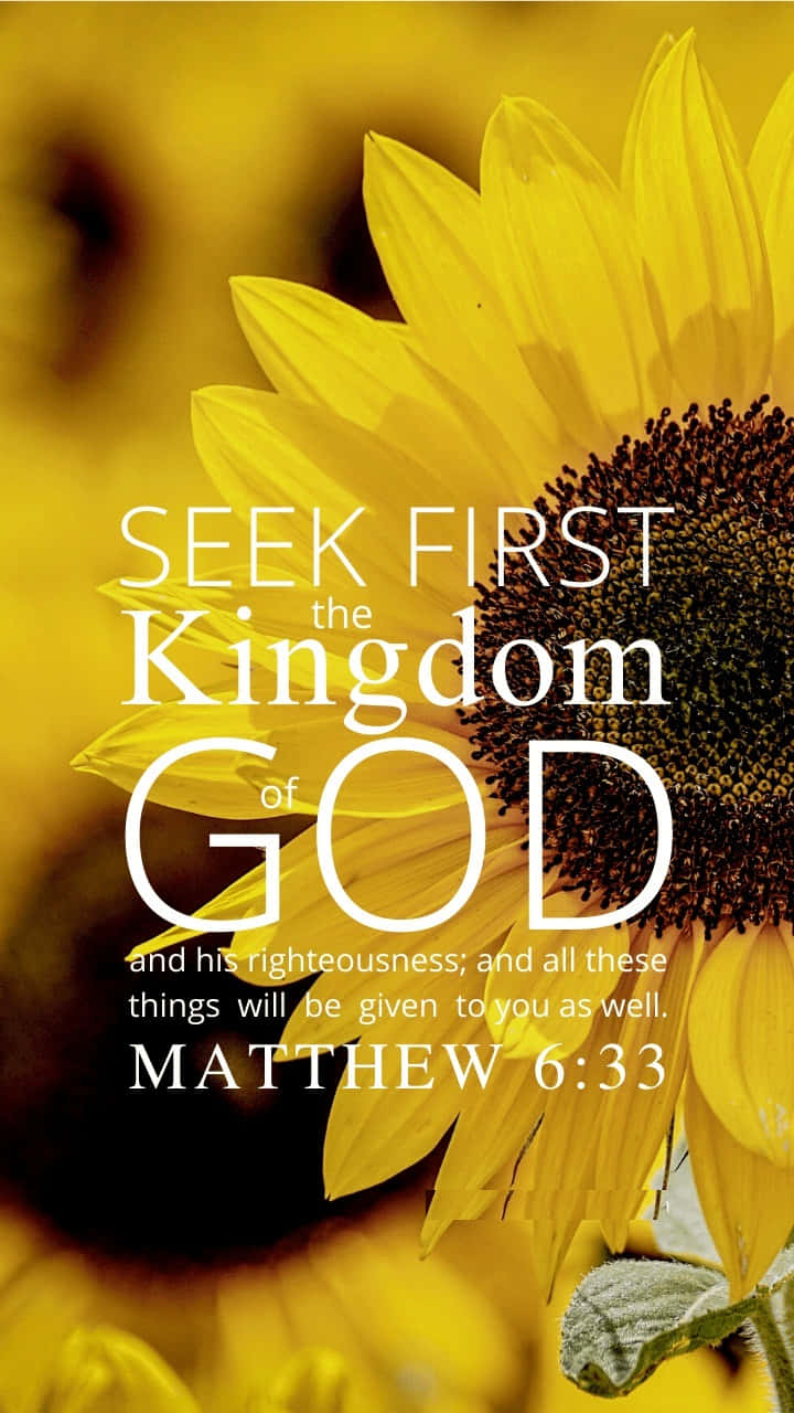 Kingdom Of God, sunflower, yellow petals, HD Phone Wallpaper