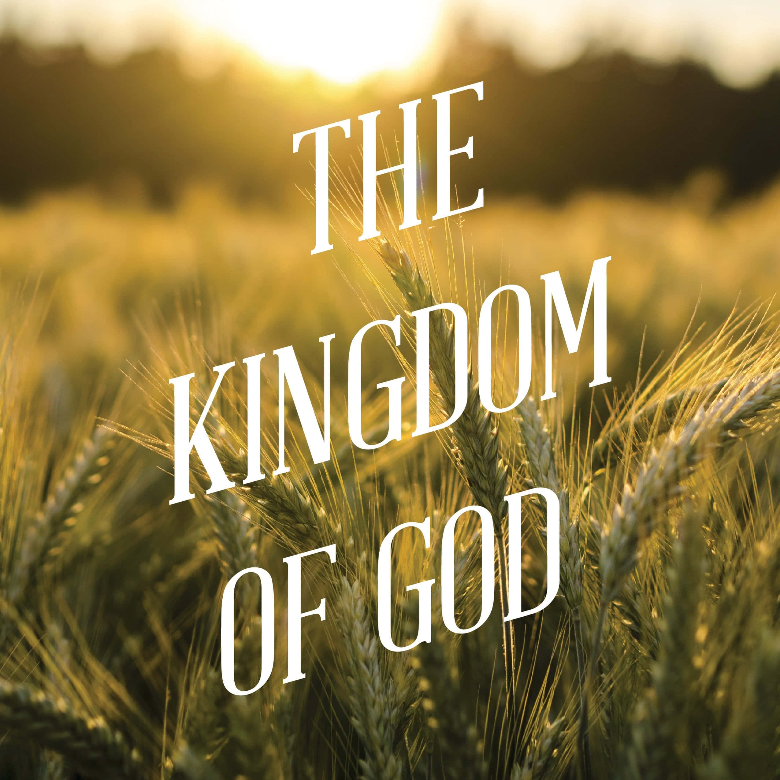 Kingdom Of God, golden city, golden wheat stalks, Full HD Desktop Wallpaper