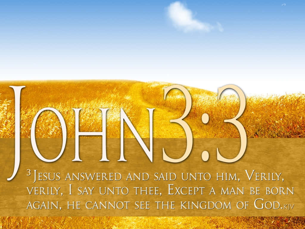Kingdom Of God, John 3:3, golden wheat field, SD Desktop Wallpaper