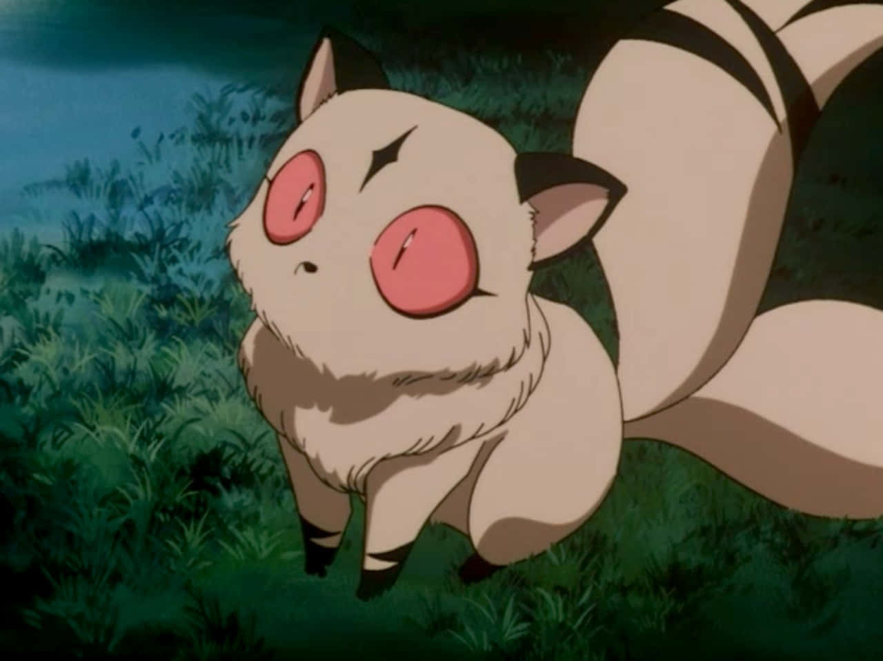 Kirara, anime fox, pink eyes, HD Desktop Wallpaper