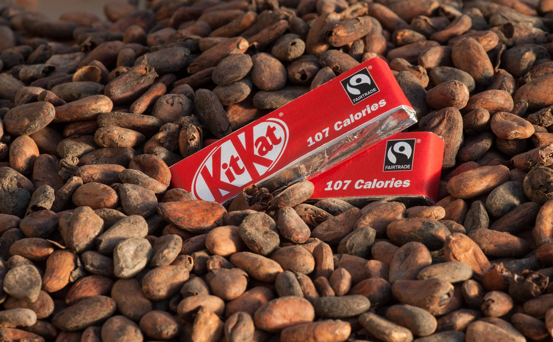 Kit Kat, cacao seeds, red KitKat bars, Full HD Desktop Wallpaper