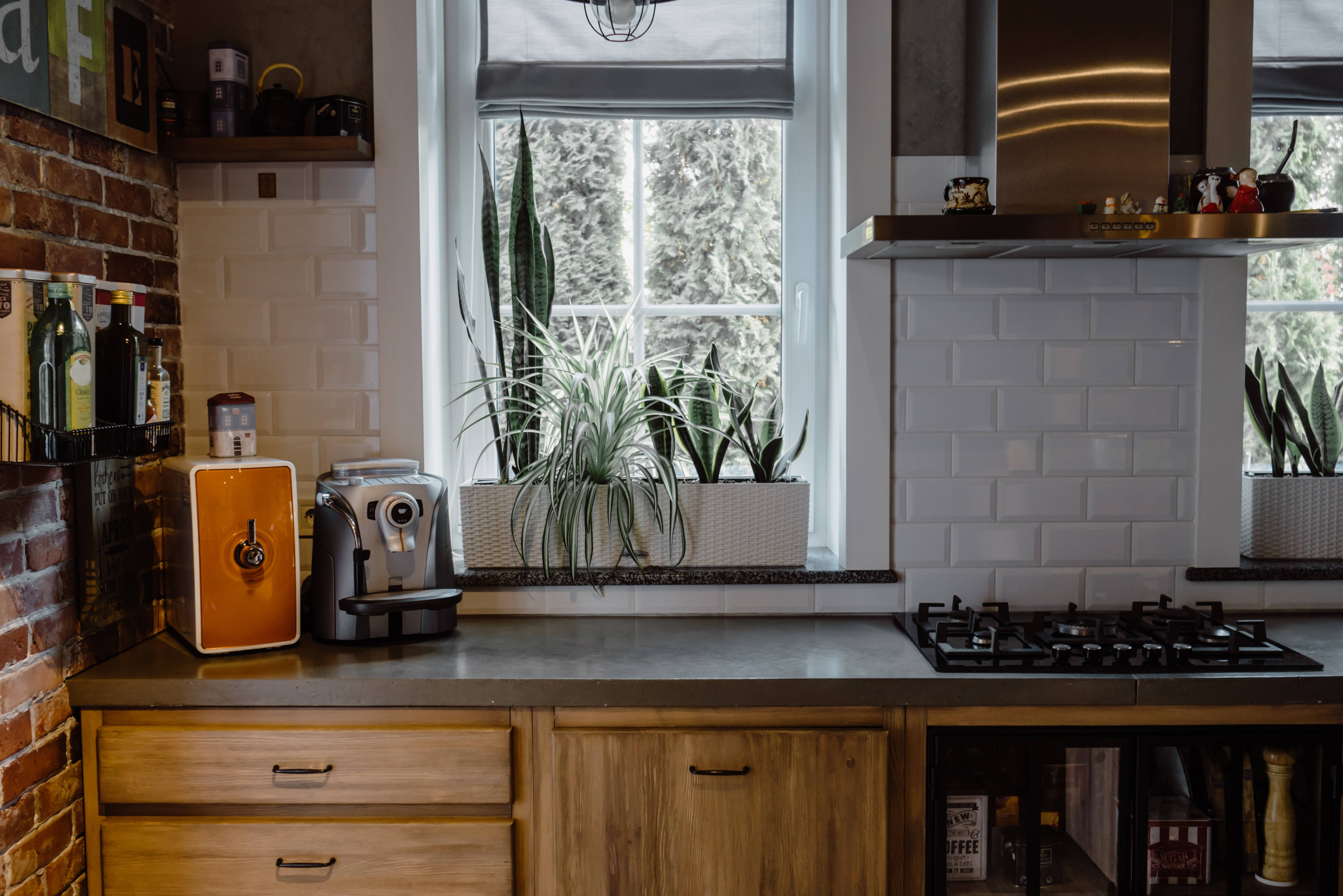 wooden cabinets, brick wall, potted snake plants, 4K Desktop Wallpaper