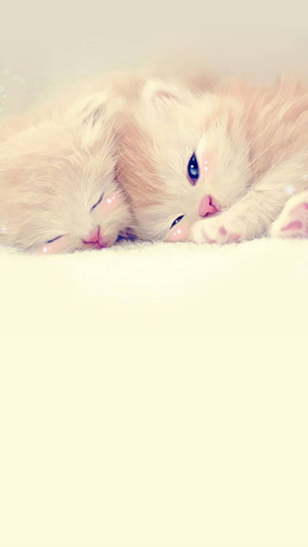 kittens, fluffy cream kittens, soft white surface, Full HD Phone Wallpaper