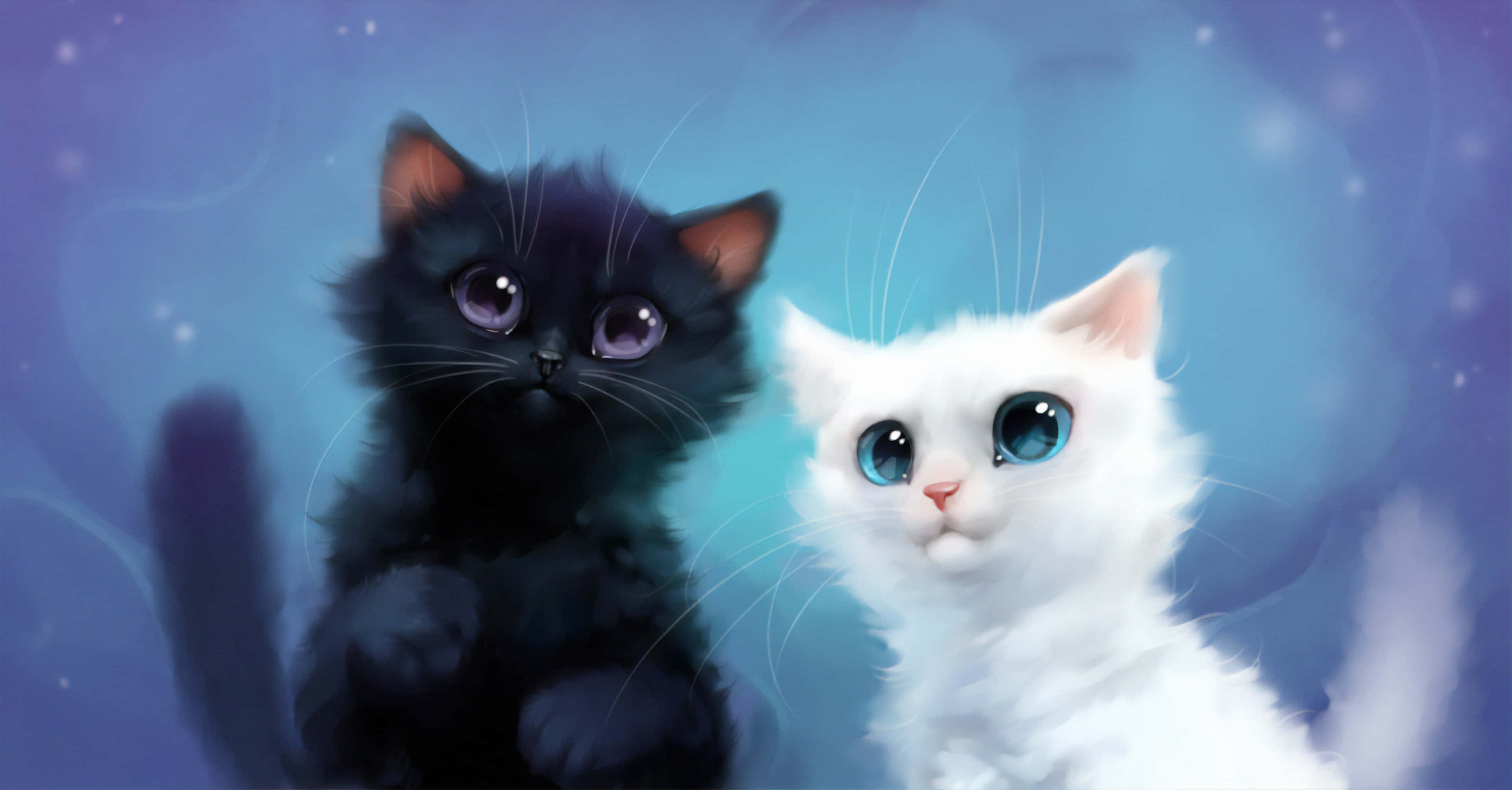 black and white cute kitties, fluffy kittens, large expressive eyes, 4K Desktop Wallpaper