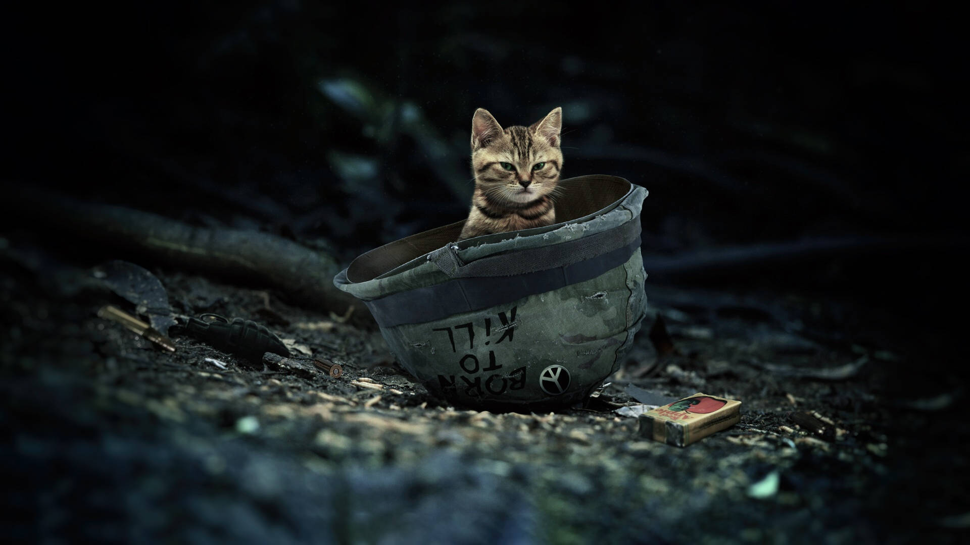 kitten, military hat, tabby kitten, Full HD Desktop Wallpaper