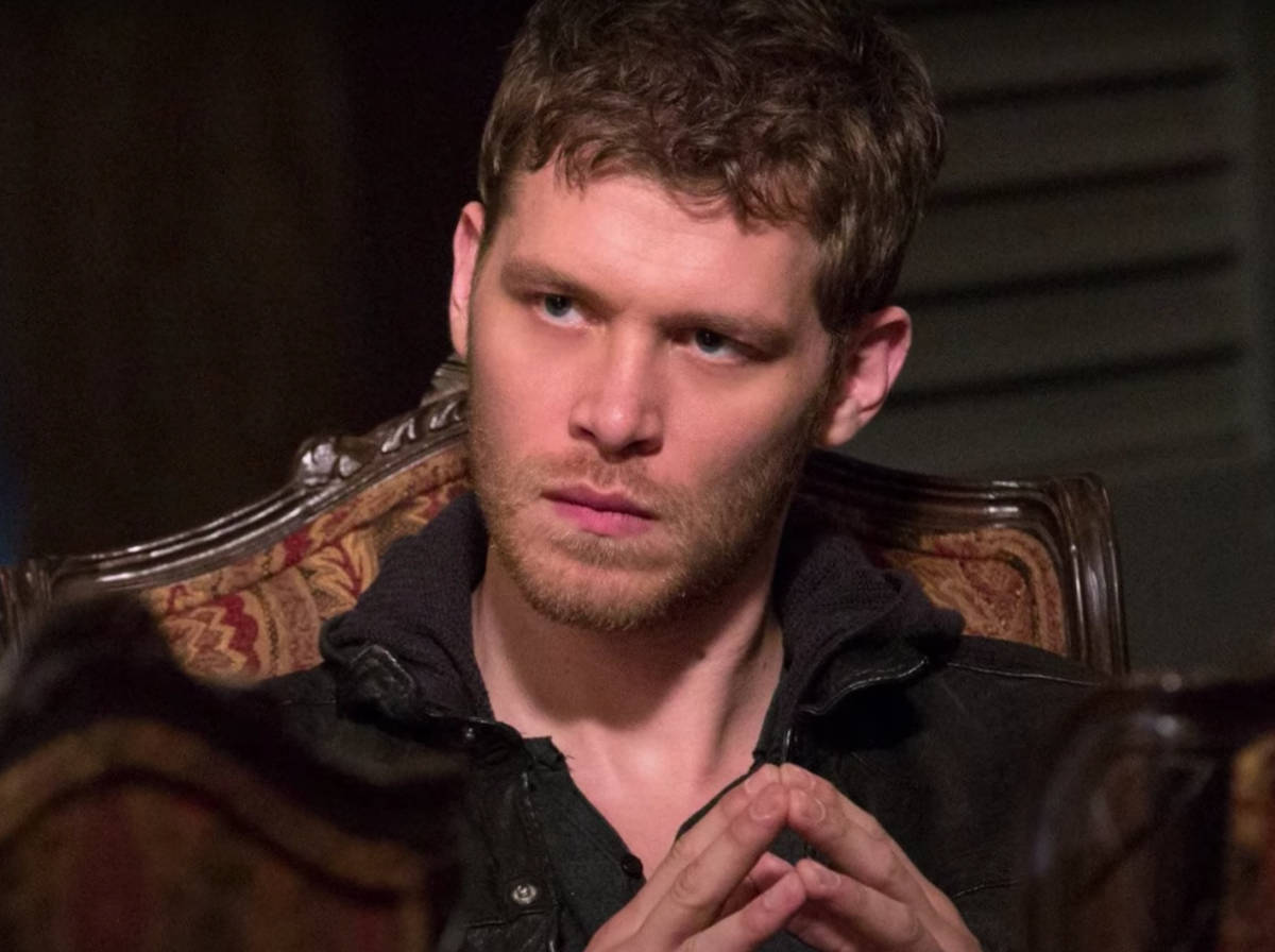 Klaus Mikaelson, intense blue eyes, stubble, SD Desktop Wallpaper