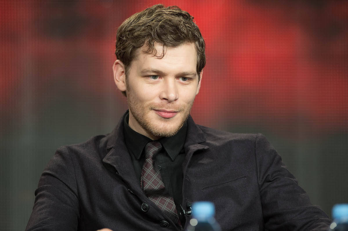 Klaus Mikaelson, curly brown hair, beard, SD Desktop Wallpaper