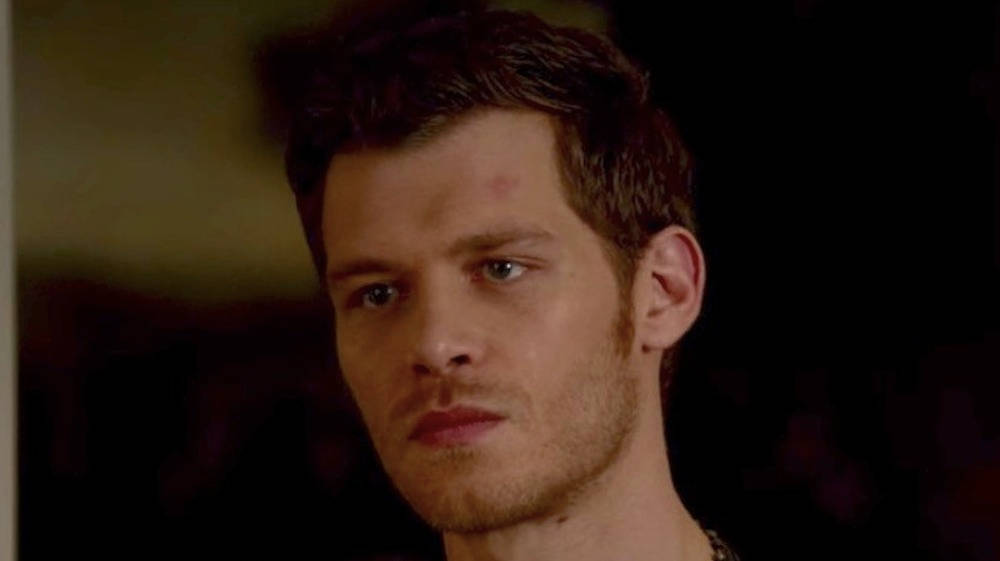 Klaus Mikaelson, stubble, bruise on his forehead, SD Desktop Wallpaper