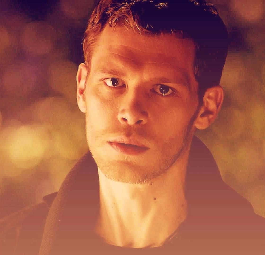 Klaus Mikaelson, golden lighting, intense eyes, SD Desktop Wallpaper