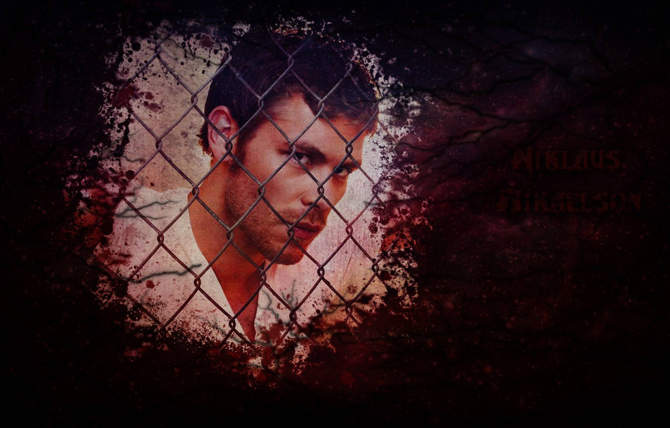 Klaus Mikaelson, chain-link fence, rusted, HD Desktop Wallpaper