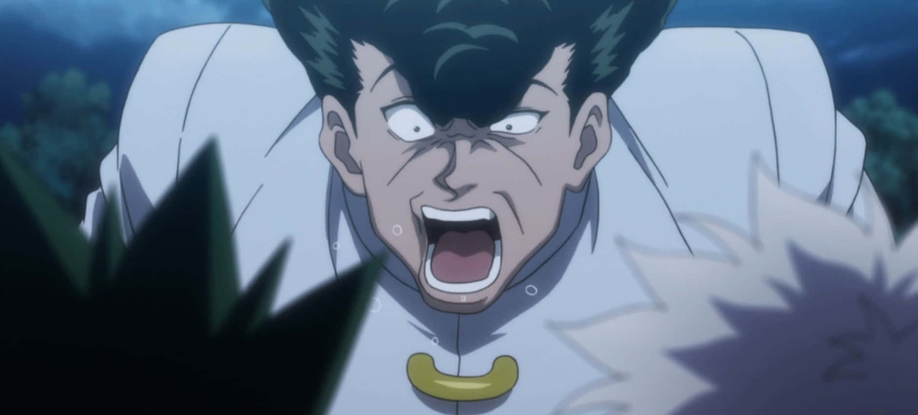 Knuckle Bine, 1884 x 852, anime character, HD Desktop Wallpaper