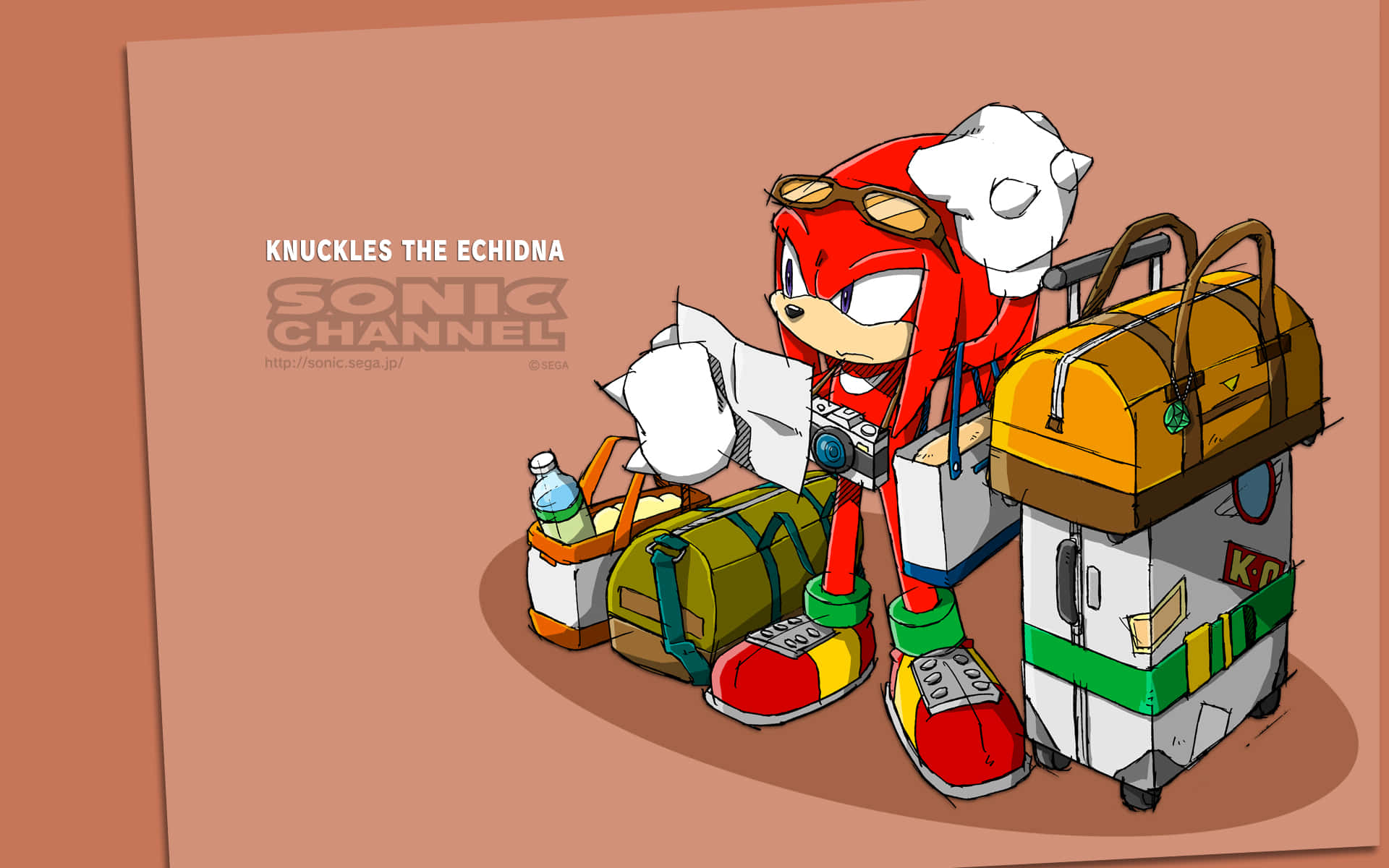 Knuckles The Echidna, aviator goggles, colorful luggage, Full HD Desktop Wallpaper