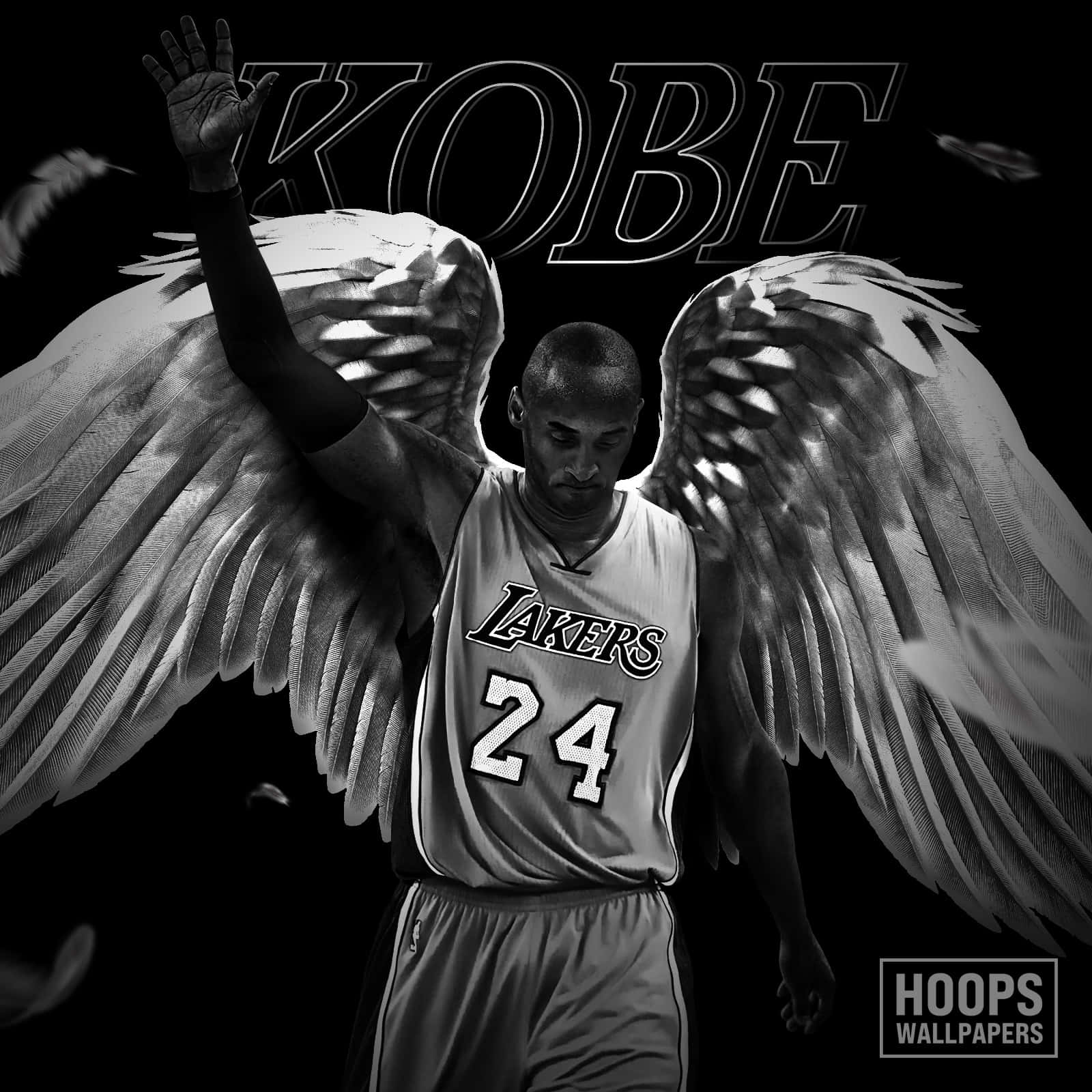 Kobe Bryant, angel wings, black and white tribute image, HD Desktop Wallpaper