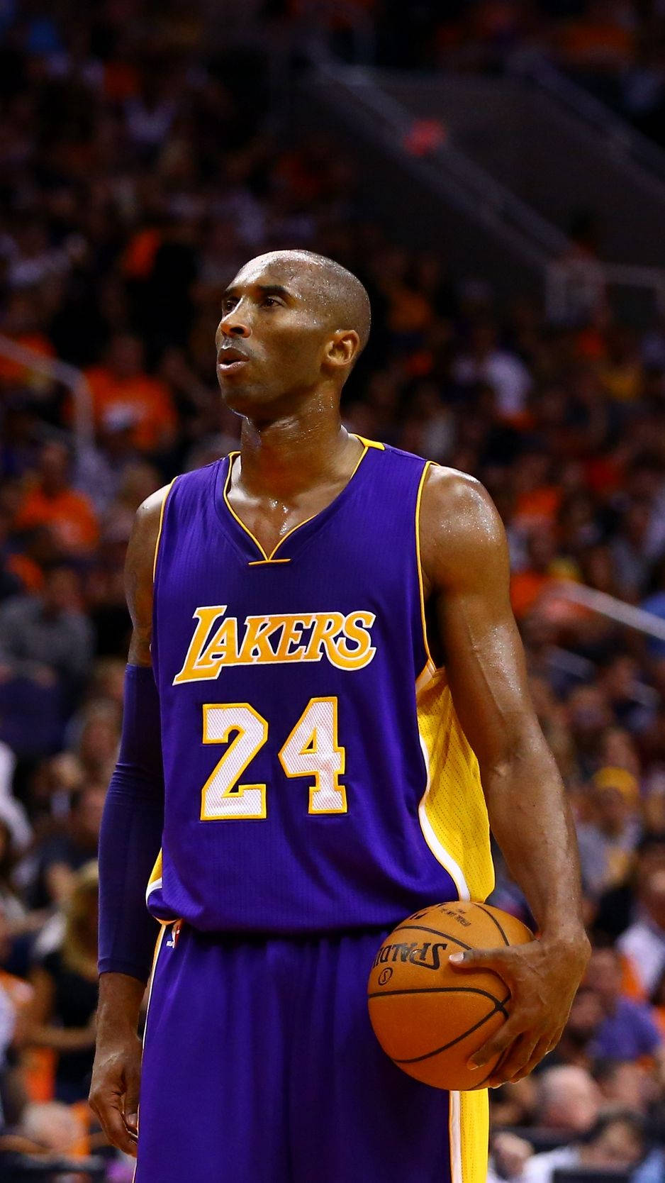 Kobe Bryant, purple Lakers jersey, number 24, HD Phone Wallpaper