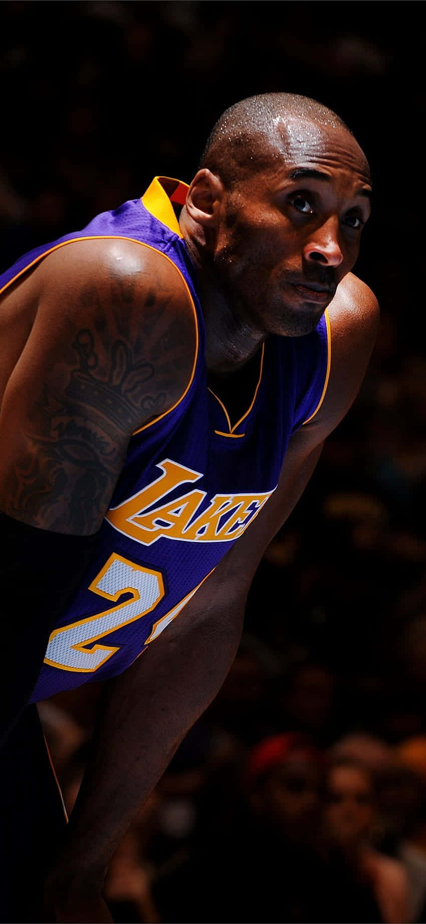 Kobe Bryant, purple Lakers jersey, arena lights, HD Phone Wallpaper