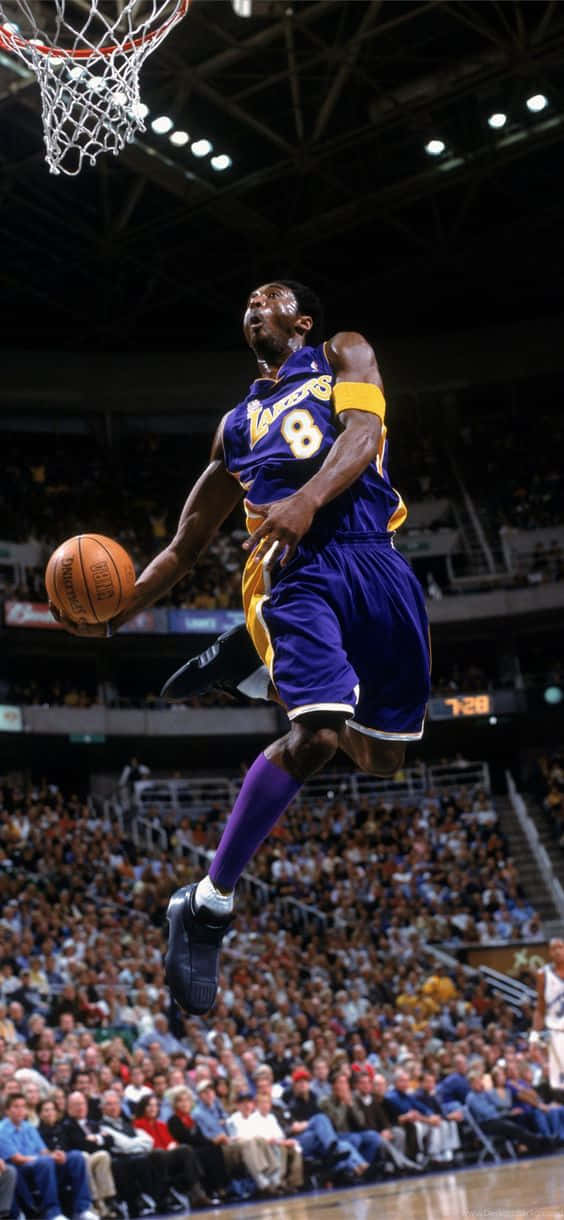 Kobe Dunking, purple Lakers jersey, dunks the ball, SD Phone Wallpaper