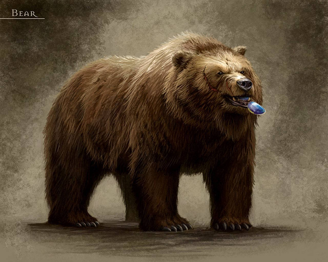 Kodiak Bear, eyeglasses, glowing blue orb, HD Desktop Wallpaper